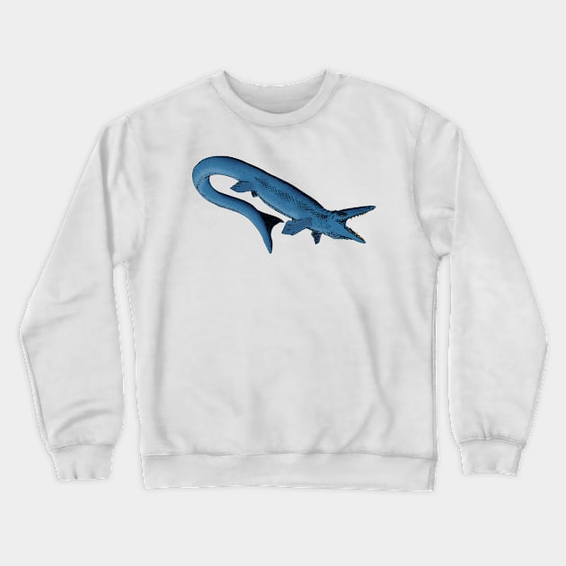 Kaikaifilu Crewneck Sweatshirt by Stanton